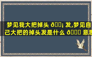 梦见我大把掉头 🐡 发,梦见自己大把的掉头发是什么 🐛 意思